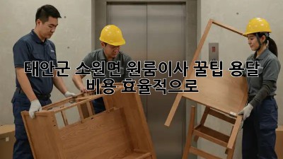 태안군 소원면 원룸이사 꿀팁🍯 용달 비용 효율적으로!